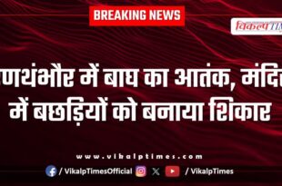 Tiger Forest Ranthambore National Park News 20 April 25