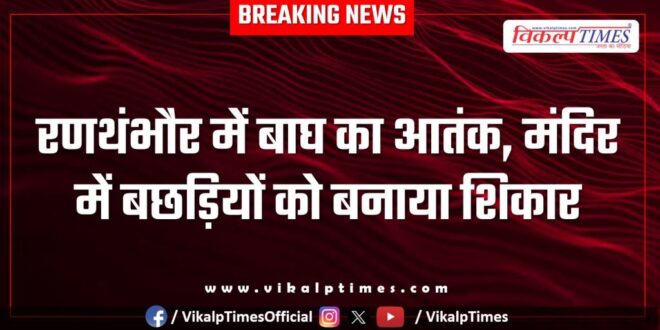 Tiger Forest Ranthambore National Park News 20 April 25