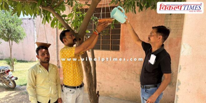 Water pot tied for birds in sawai madhopur