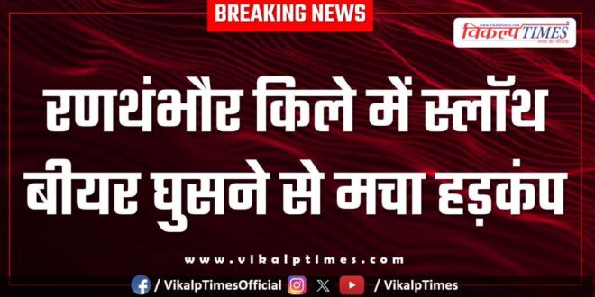 Wildlife animal entered in rathmabore fort