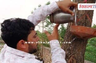 Appeal to tie water pots for birds in tonk