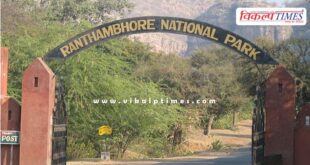Forest department took a big decision Ranthambore Sawai Madhopur News