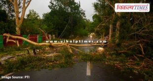 Heavy damage due to strong storm in Delhi and NCR