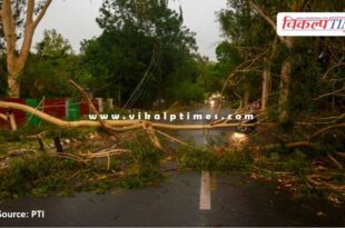 Heavy damage due to strong storm in Delhi and NCR