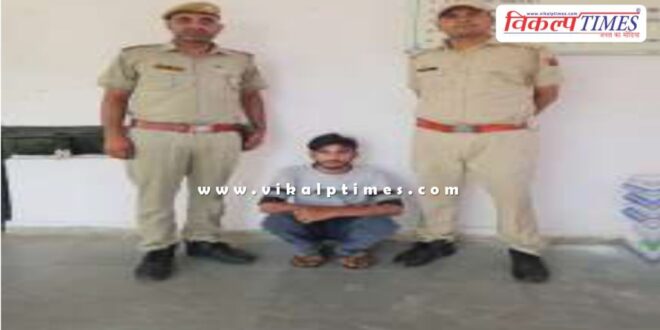 Mantown Police Sawai Madhopur News 17 May 2025