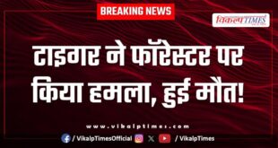 Tiger Ranthambore Forester Sawai Madhopur News 11 May 25