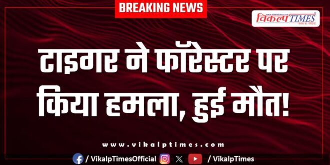Tiger Ranthambore Forester Sawai Madhopur News 11 May 25