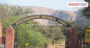 Trinetra Ganesh Mandir road opened for public Ranthambore Sawai Madhopur News