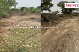1 thousand 182 roads were opened in Jaipur