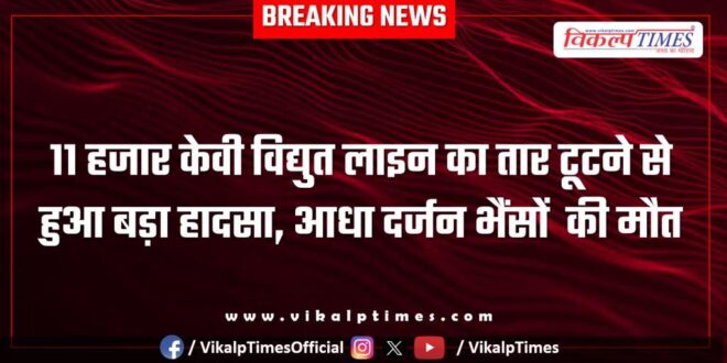 A major accident occurred due to breaking of 11 thousand KV power line wire in malarna dungar