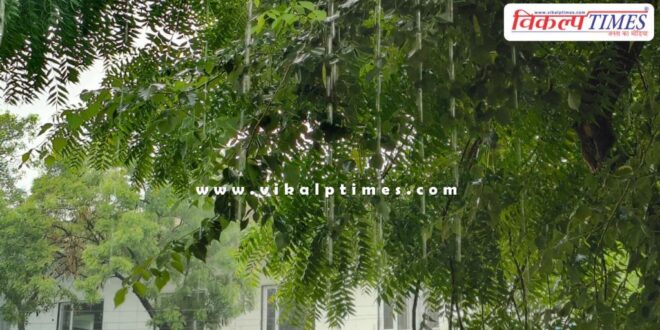 Drizzle and heavy rain continues in Kota for the 5th consecutive day