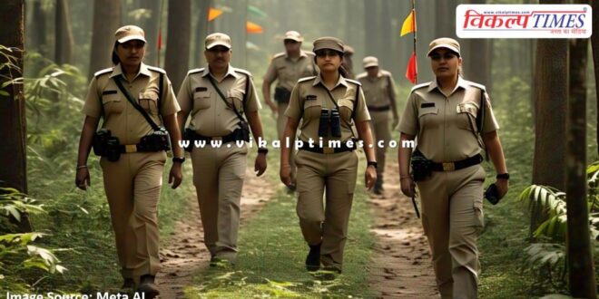 Forest department is searching for RBT 2507, daughter of tigress T-84 Arrowhead in Ranthambore
