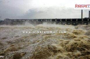 Heavy rain in Kota, two gates of Kota barrage opened