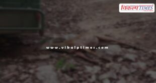 Nilgai Calf Dogs Sawai Madhopur News 23 June 25