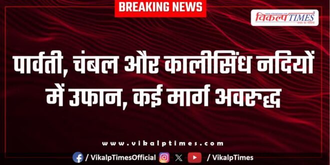 Parvati, Chambal and Kalisindh rivers in spate, many roads blocked