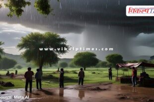 Rain alert in all districts of Rajasthan today 15 June 25