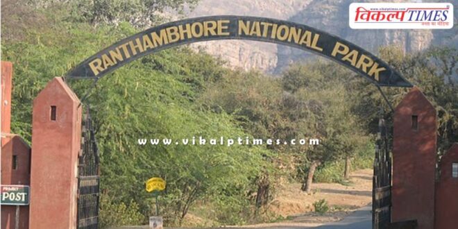 Ranthambore Trinetra Ganesh Temple road reopened in Sawai Madhopur