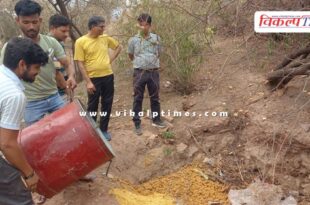 The medical department destroyed 260 kilograms of moldy laddus in sawai madhopur