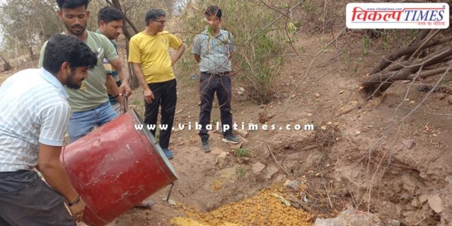 The medical department destroyed 260 kilograms of moldy laddus in sawai madhopur