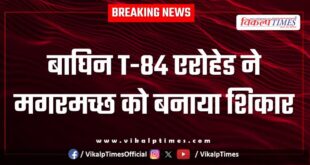 Tigress T-84 Arrowhead Ranthambore Forest Crocodile News 16 June 25