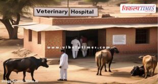 Veterinary hospital will be opened in every Gram Panchayat of Rajasthan