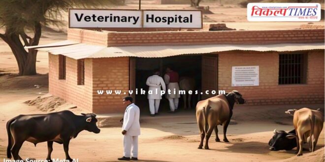 Veterinary hospital will be opened in every Gram Panchayat of Rajasthan