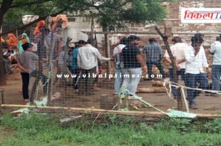 sheep wildlife animals gangapur city sawai madhpur news 28 June 25