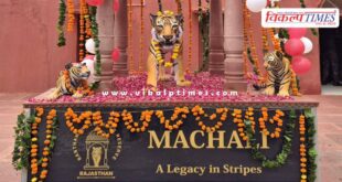 Memorial of 'Lady of the Lakes' Ranthambore's Rani Machli (T-16) unveiled