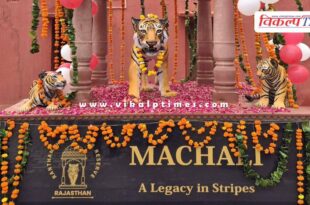 Memorial of 'Lady of the Lakes' Ranthambore's Rani Machli (T-16) unveiled