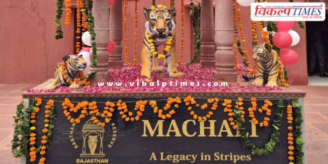 Memorial of 'Lady of the Lakes' Ranthambore's Rani Machli (T-16) unveiled
