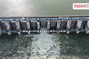 Rains brought happiness, gates of Bisalpur and Navnera dams opened