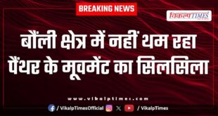 The movement of panthers is not stopping in bonli area