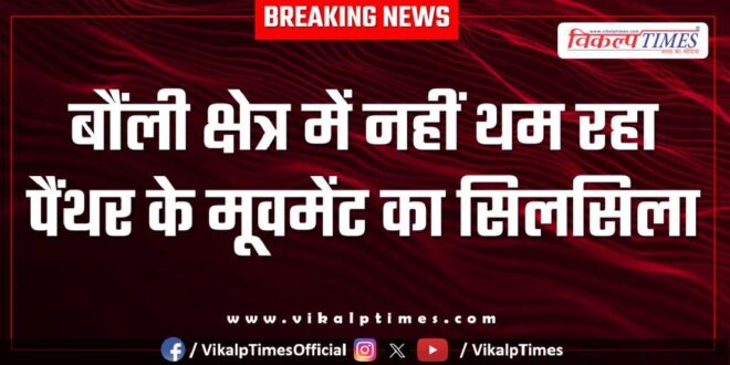 The movement of panthers is not stopping in bonli area