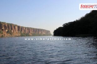 The water level of Chambal river increased after the gates of Kota Barrage were opened