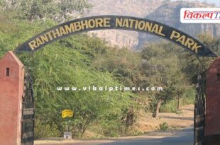 Trinetra Ganesh Mandir road reopened in sawai madhopur