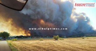 13 thousand hectares burnt in forest fire in france