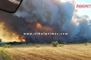 13 thousand hectares burnt in forest fire in france