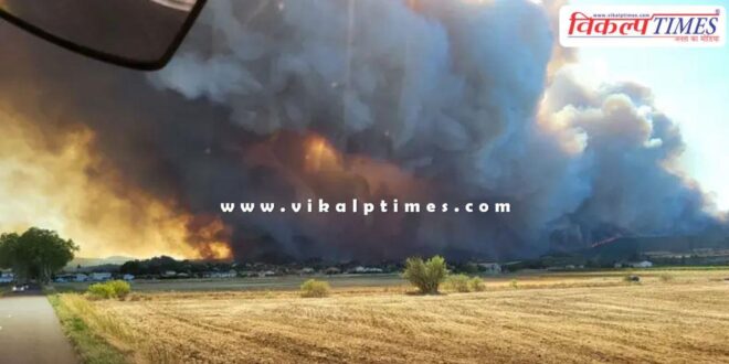 13 thousand hectares burnt in forest fire in france
