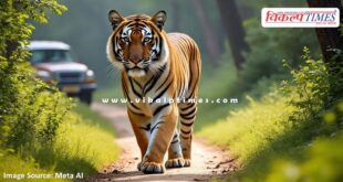 Changes made in the schedule of Ranthambore Jungle Safari