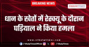 Crocodile rescue operation khandar Ranthambore Sawai Madhopur News 28 Aug 25