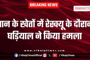 Crocodile rescue operation khandar Ranthambore Sawai Madhopur News 28 Aug 25