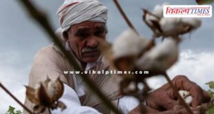 Government extended the exemption of import duty on cotton till December