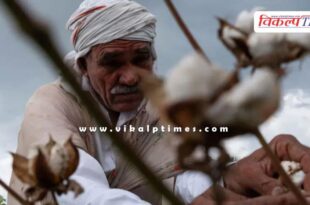 Government extended the exemption of import duty on cotton till December