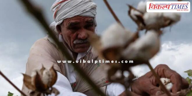 Government extended the exemption of import duty on cotton till December