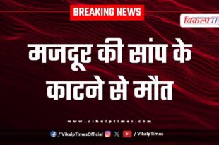 Laborer Snake Ramganjmandi kota news 13 aug 25