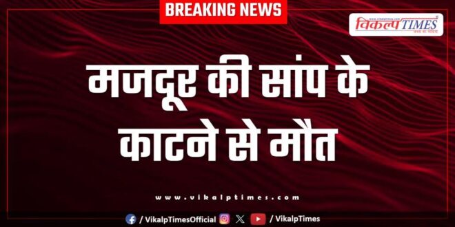 Laborer Snake Ramganjmandi kota news 13 aug 25