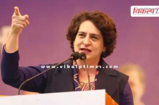 Priyanka Gandhi said this on the Supreme Court's order regarding stray dogs