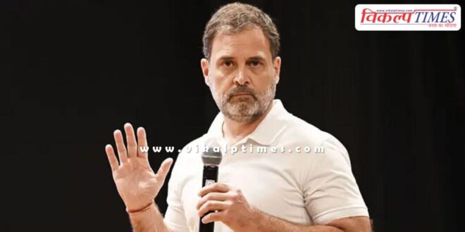Rahul Gandhi said this on the Supreme Court's order regarding stray dogs