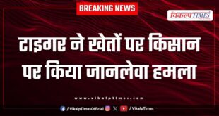 Tiger farmer Agriculture Ranthambore National Park Sawai Madhopur News 18 Aug 25