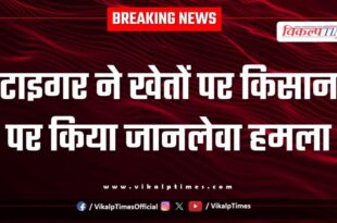 Tiger farmer Agriculture Ranthambore National Park Sawai Madhopur News 18 Aug 25